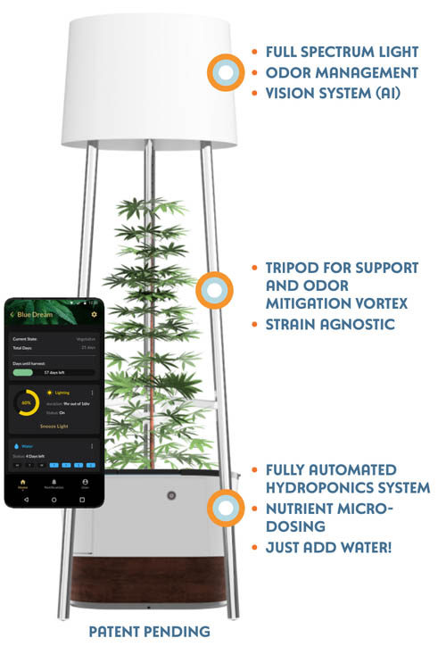 Annaboto system breakdown.