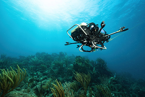 NVIDIA MIT WHOI CUREE robot