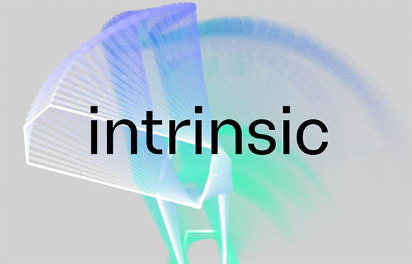 Intrinsic logo