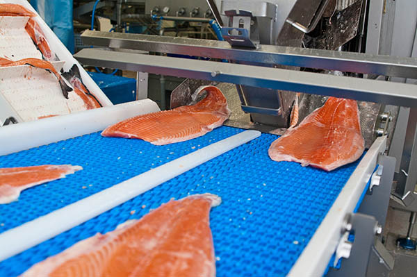 Automation and salmon processing
