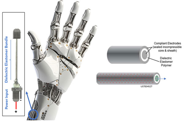 Elysium Robotics develops human-muscle-like actuators