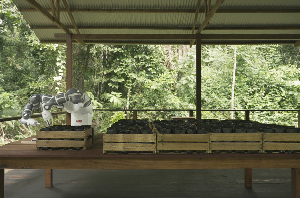 ABB Robotics Remotely Programs Cobot in Amazon Reforestation Project