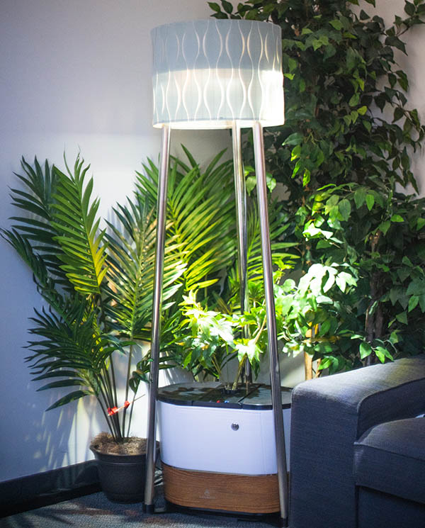 Boundless Robotics Goes After Cannabis Market With Plant-Growing Robot
