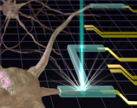 NIST Scientists Go Soft on 3D Printing