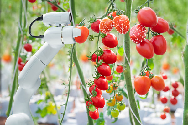 Dutch Robotics Industry Is Growing but Faces ‘Market Adoption Gap,’ Says HowToRobot