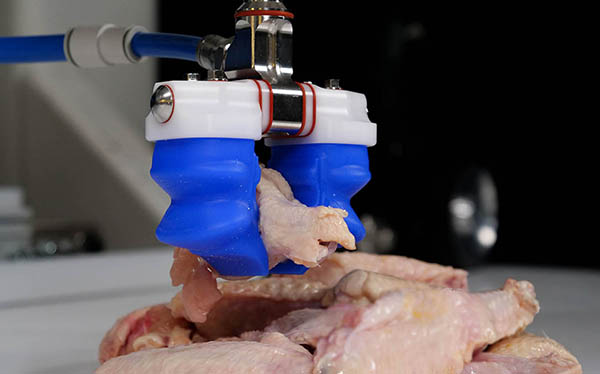 Soft Robotics Uses NVIDIA Isaac Sim to Apply Automation to $8T Food Market