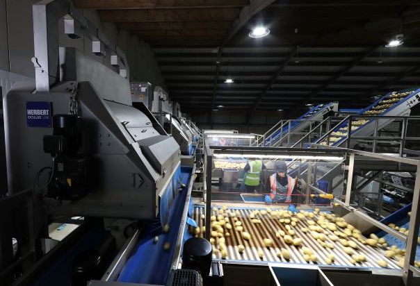 Food Industry Feels the Growing Impact of Automation, Says Key Technology Infographic