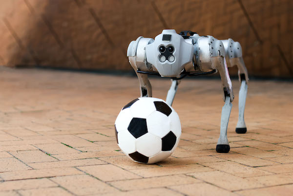 DribbleBot From MIT Designed to Play Soccer on Varied Terrains
