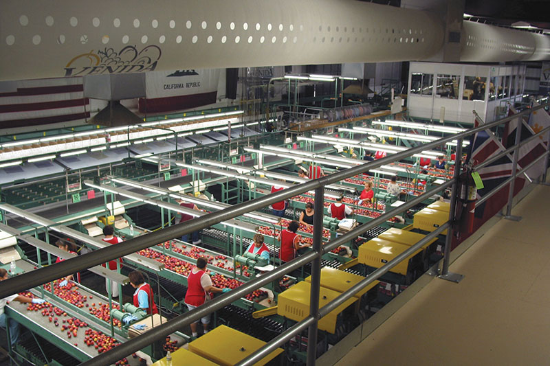 Venida Packing successfully implements fabric ductwork