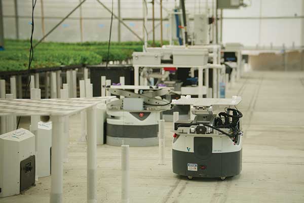 Autonomous mobile robots (AMRs) offer modern solution to challenges of traditional farming