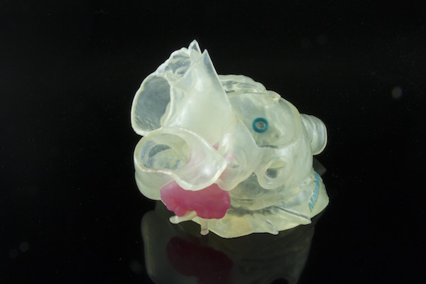 Stratasys Printers Validated by FDA for Medical Modeling