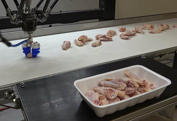 Soft Robotics Names AMP Automation as a Preferred System Integrator