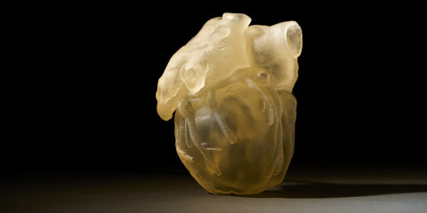 Stratasys Introduces Digital Anatomy 3D Printer