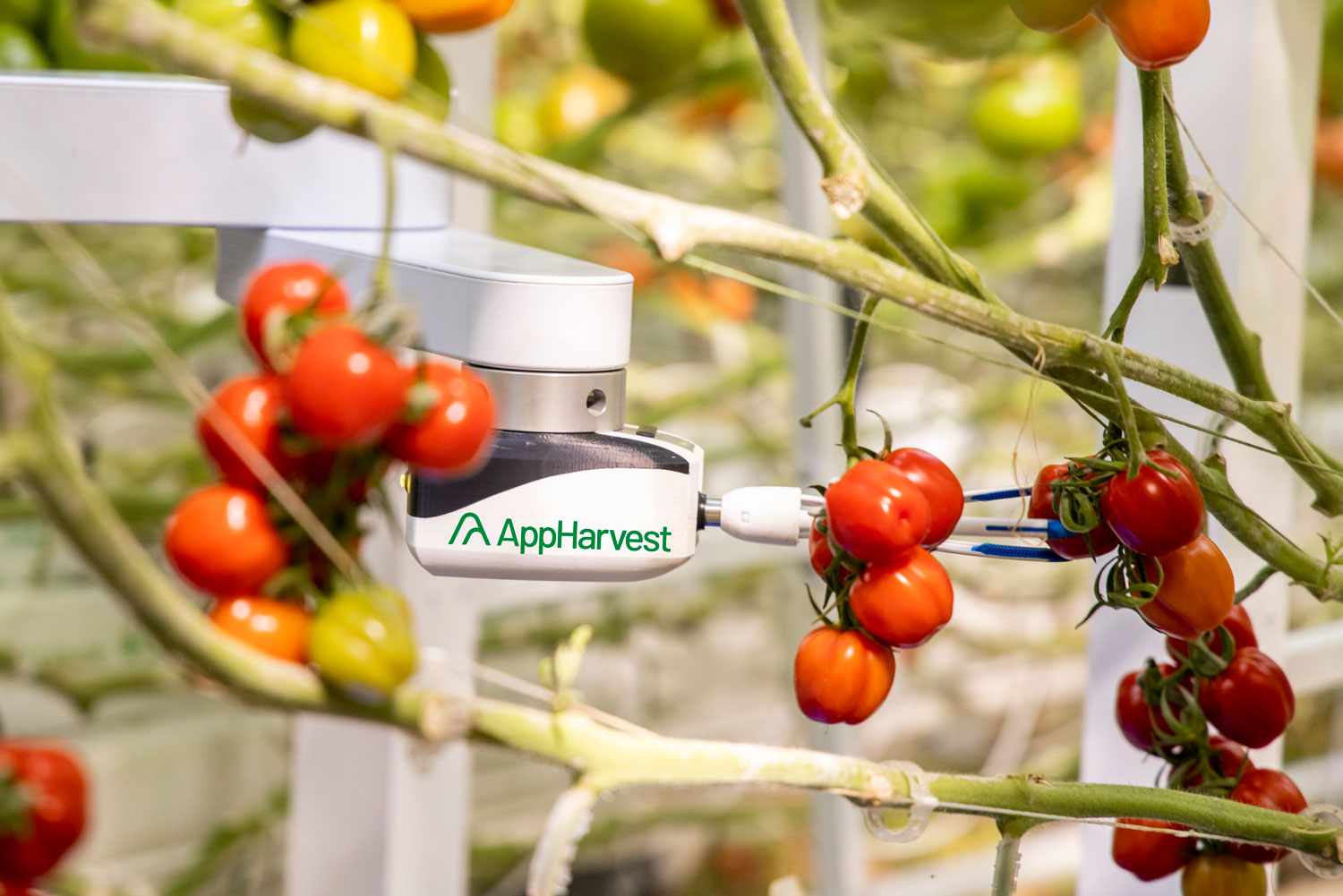 AppHarvest Acquires Agricultural Robotics and AI Startup Root AI for $60M