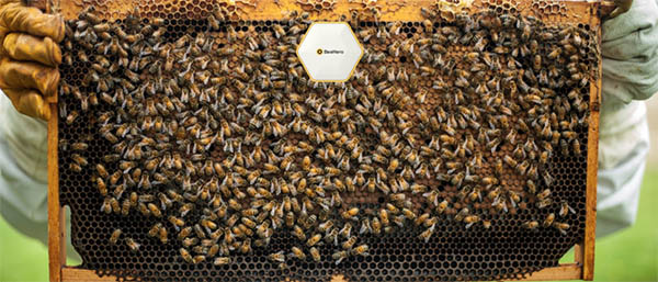 BeeHero Secures $42M in Series B for Robotic BeeHive System Deployment