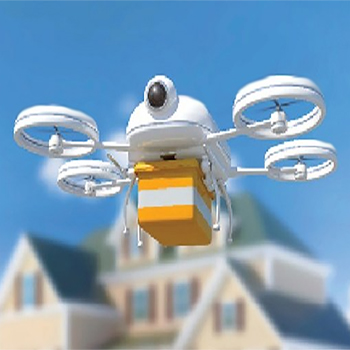 Expectations and Future Last Mile Delivery Logistics