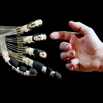 Harnessing Automation for a Future That Works