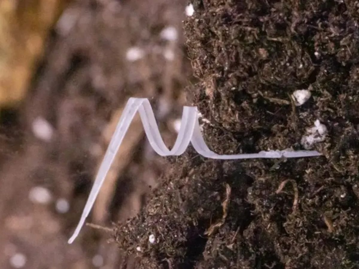 New Advancements in Biodegradable Soft Robotics Components Improve Industry Sustainability