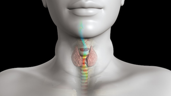 Medical Device Simulation’s Next Frontier