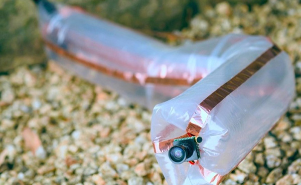 Soft Robotics Research Grows, but Developers Must Advance Field, Says UC Santa Barbara Professor