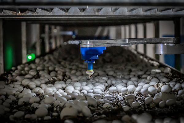 TechBrew, Now 4AG Robotics, Cultivates New Chapter