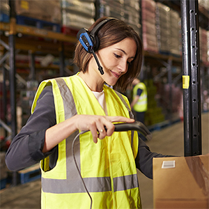 Mobile Computers Role in the Warehouse Data Web